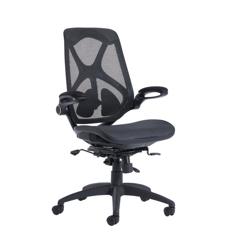 Napier High Back Mesh Chair with Mesh Seat.
